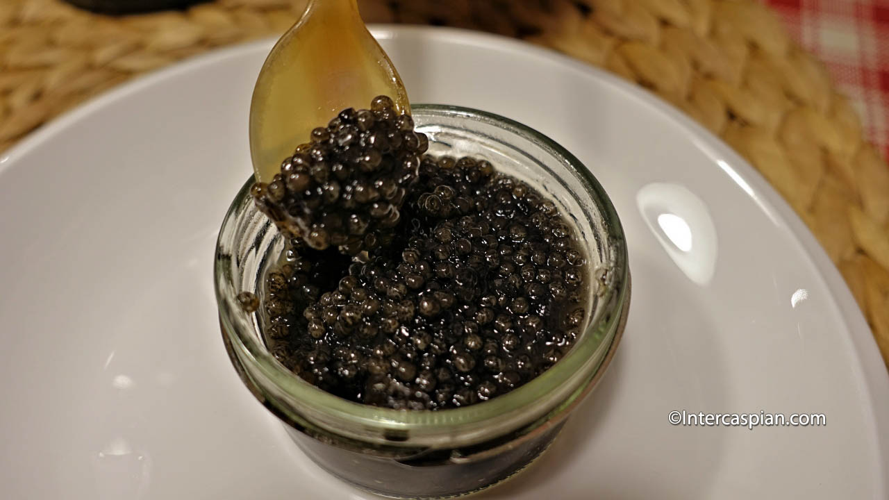 Iranian beluga caviar from Caspian Sea