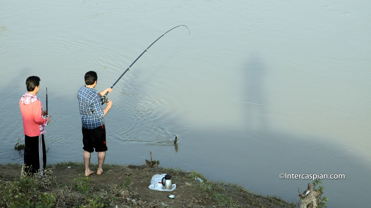 Pole fishing by Sefid Rud river