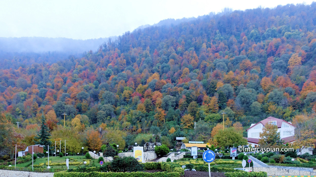 Colourful photo of the Ramsar jungle in fall